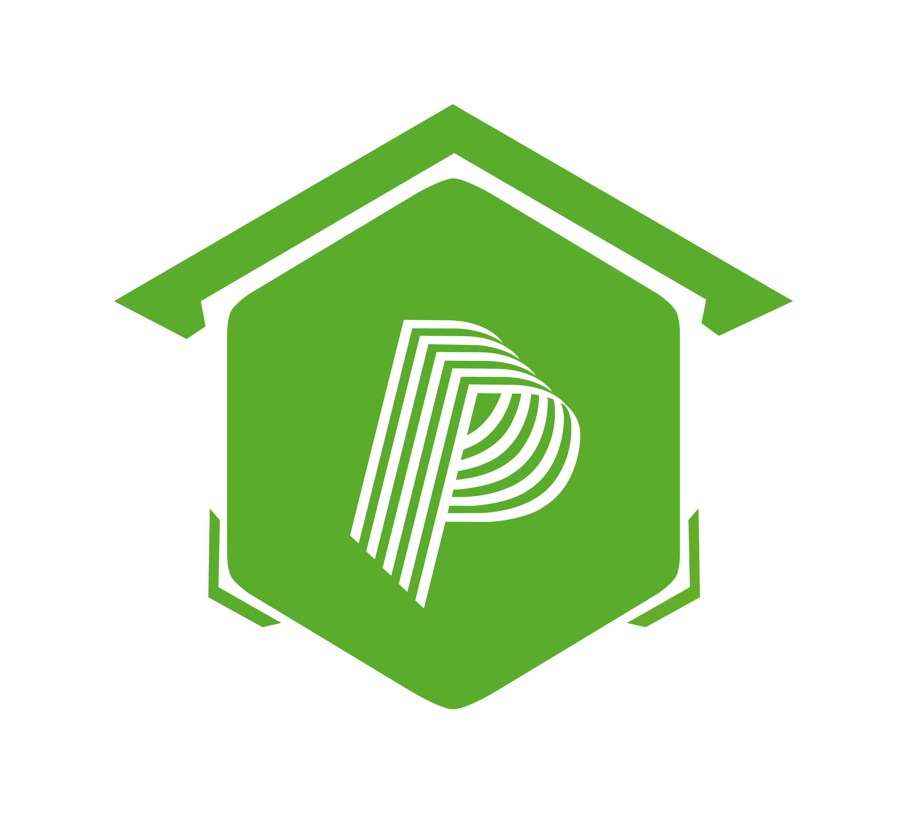 Logo Agencia Playbook Partner